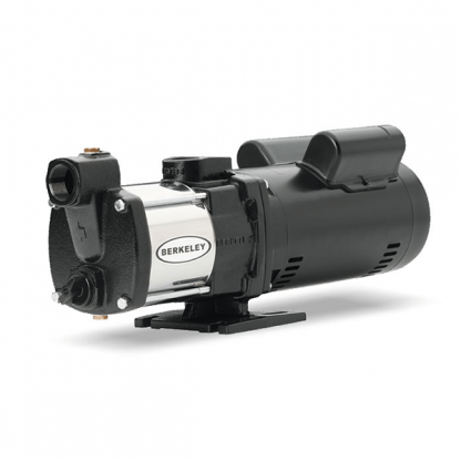 Berkeley SSHM Series Pumps