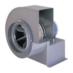 Radial Fans