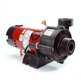 Waterway Tiny Might 115V