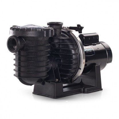 Pentair Sta-Rite Max-E-Pro Pool Pump